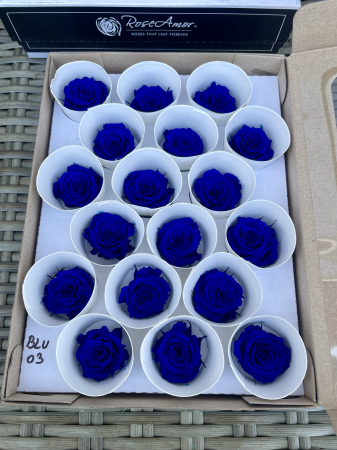 Dimensiune XS - BLU-03, marime XS