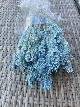Broom Bloom - Broom Bloom baby blue