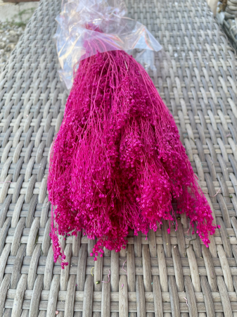 Broom Bloom - Broom Bloom ciclam