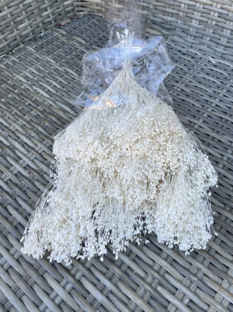 Broom Bloom - Broom bloom mix alb-crem/ivoire