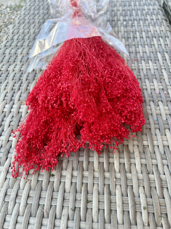 Broom Bloom - Broom Bloom rosu