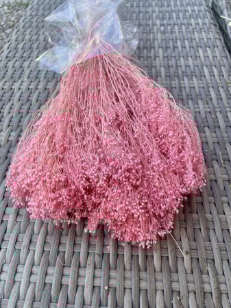 Broom Bloom - Broom bloom baby roz