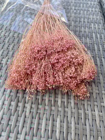 Broom Bloom - Broom bloom roz pudra