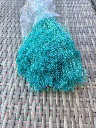 Broom Bloom - Broom bloom turcoaz