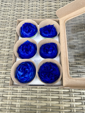 TRANDAFIRI CRIOGENATI-ROSEAMOR - Bujori NK BLU-03