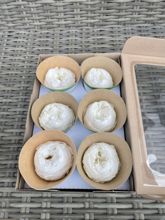 BUJORI NIKI - Bujori NK WHI-01