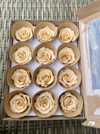 Dimensiune M - Cha-01, marime M