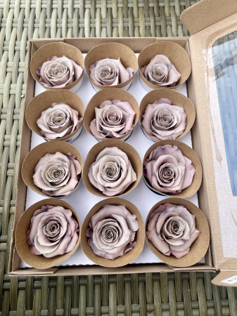 Dimensiune M - Cho-89, marime M