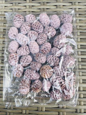 CRACIUN MAGIC - Conuri vopsite mov pastel