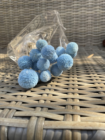 Craspedia - Craspedia albastru deschis