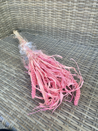 Csumiz - Csumiz vopsit Roz