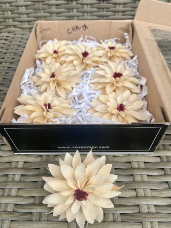 DALII CRIOGENATE - DALIA CHA-01