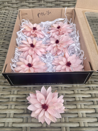 DALII CRIOGENATE - DALIA PIN-04