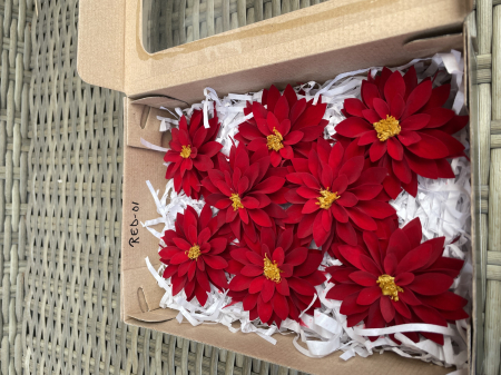 DALII CRIOGENATE - DALIA RED-01