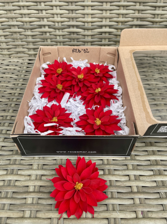 DALII CRIOGENATE - DALIA RED-02