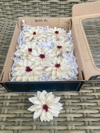 DALII CRIOGENATE - Dalia WHI-04