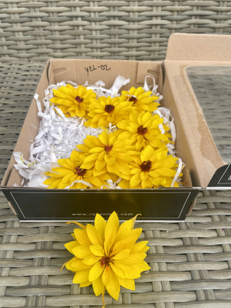 DALII CRIOGENATE - DALIA YEL-02