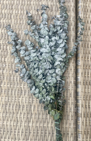 Verdeata Criogenata&Stabilizata - Eucalipt baby blue verde