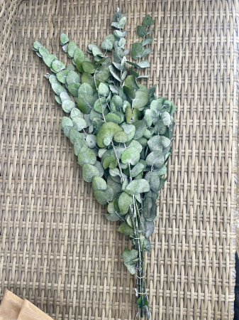 Verdeata Criogenata&Stabilizata - Eucalipt verde cinerea Verdissimo