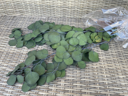 Verdeata Criogenata&Stabilizata - Eucalipt populus verde