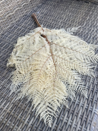 FLORI SI PLANTE USCATE - Feriga Crem criogenata, 5 fire