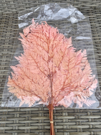 Feriga - Feriga Cuore Baby Roz, 10 fire