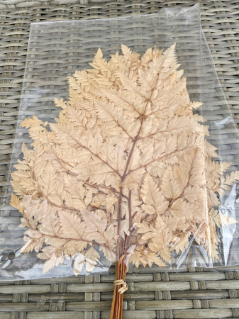 Feriga - Feriga Cuore Maro Deschis, 10 fire