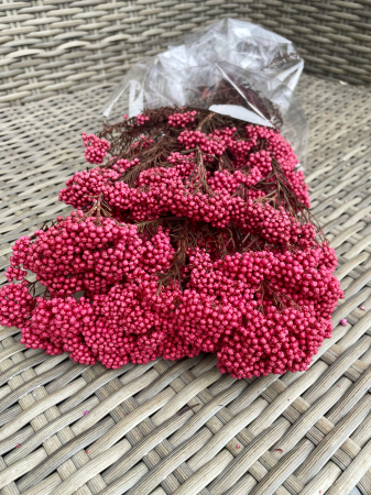 Floare de Orez - Floare de orez Cerise