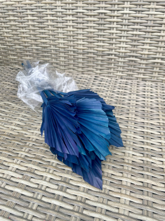 Frunze Palmier - Frunze palmier albastru, pachet Mic