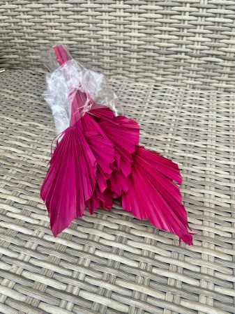 Frunze Palmier - Frunze palmier cerise, pachet Mic