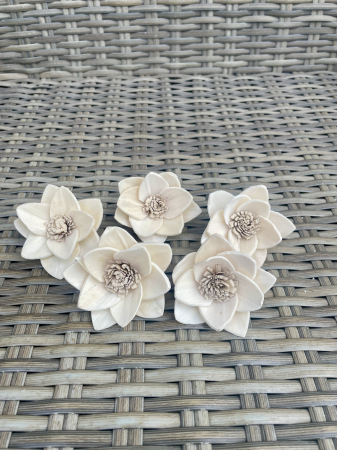 Shola - Garden Shola 6 cm. 5 capete