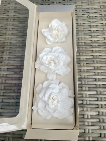 Gardenia - Gardenia Alba- Set de 3bucati
