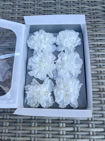 Garoafe criogenate - Garoafa criogenata alba