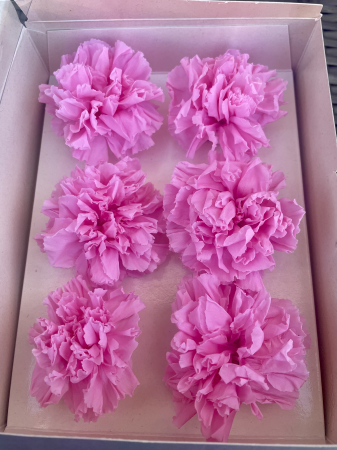 Garoafe criogenate - Garoafa criogenata roz