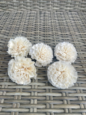 Shola - Garoafe shola ming, 5 capete