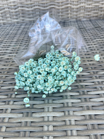 Glixia - Glixia baby blue