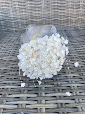 Glixia - Glixia extra alba