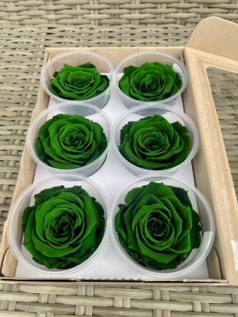 Dimensiune LL+ - GRE-02,marime LL+