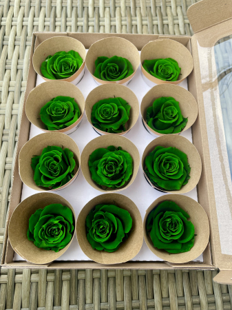 Dimensiune M - Gre-02, marime M