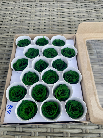 Dimensiune XS - GRE-02, marime XS