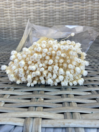 Happy flower - Happy flower alb