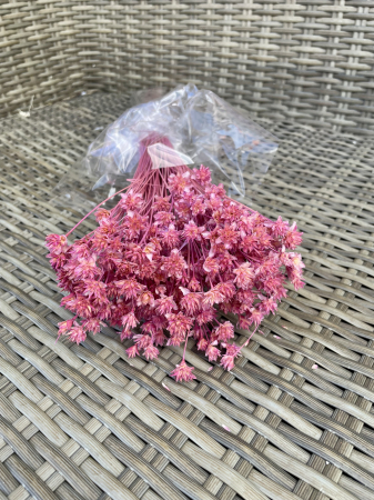 Hill Flower - Hill Flower flider