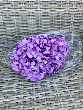 HORTENSIE CRIOGENATA&STABILIZATA - Hortensie  Lilac Verdissimo, criogenata