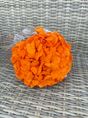HORTENSIE CRIOGENATA&STABILIZATA - Hortensie orange, RoseAmor