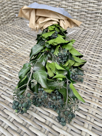 Verdeata Criogenata&Stabilizata - Iedera cu fructe, criogenata Verdissimo