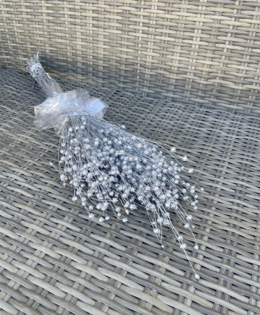 IN - In vopsit argintiu