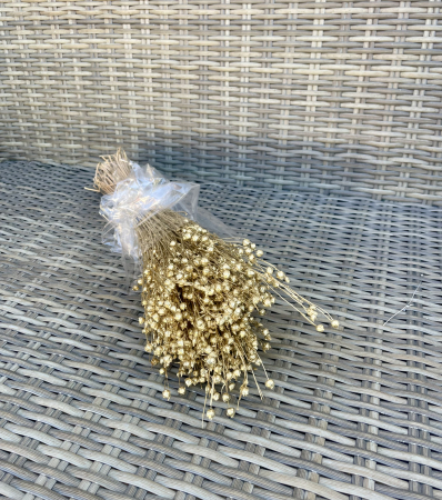 IN - In vopsit auriu