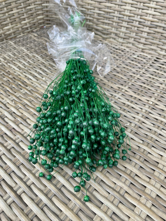 IN - In vopsit verde