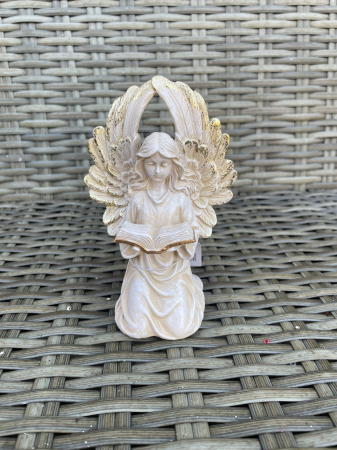 CRACIUN MAGIC - Inger care citeste