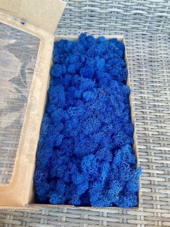 Licheni - Licheni Dark Blue